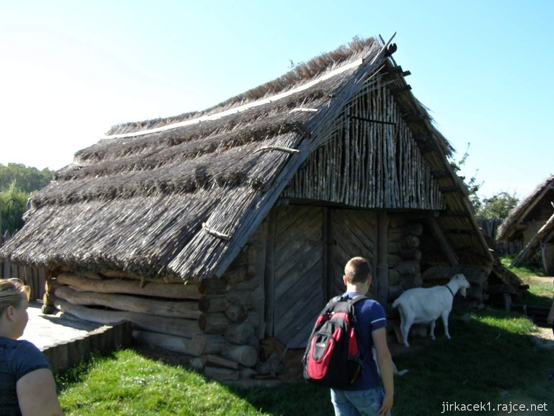 Modrá - archeoskanzen - koza u srubu