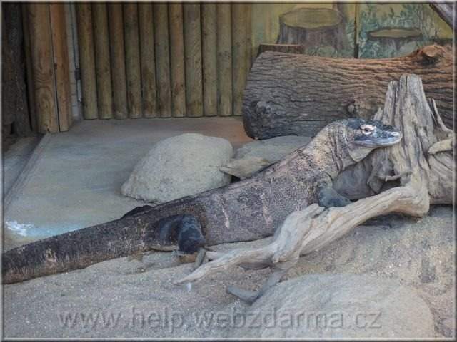 varan