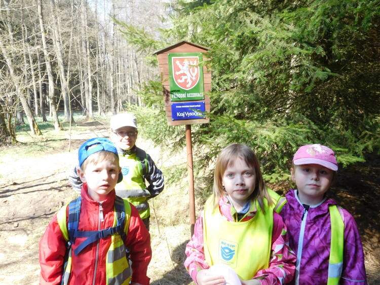 Tradiční výlet za bledulemi