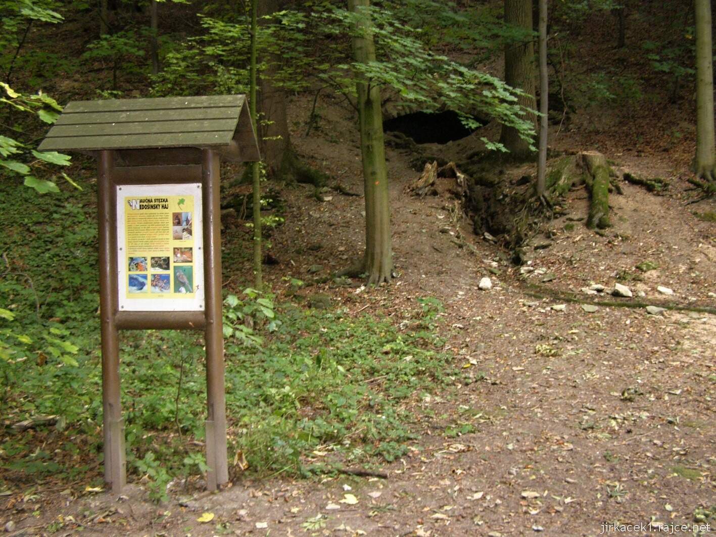 Nedošín - sklepní pramen v bývalých lázních 2015