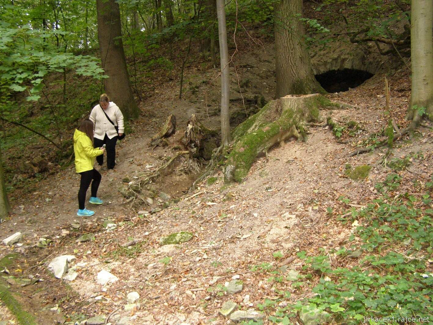 Nedošín - sklepní pramen v bývalých lázních 2015