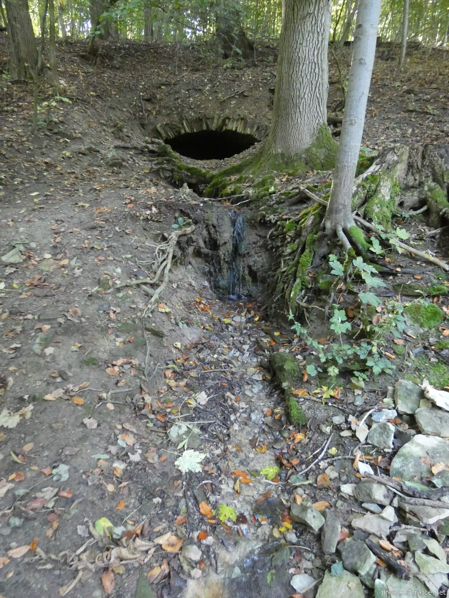 Nedošín - sklepní pramen v bývalých lázních 2021