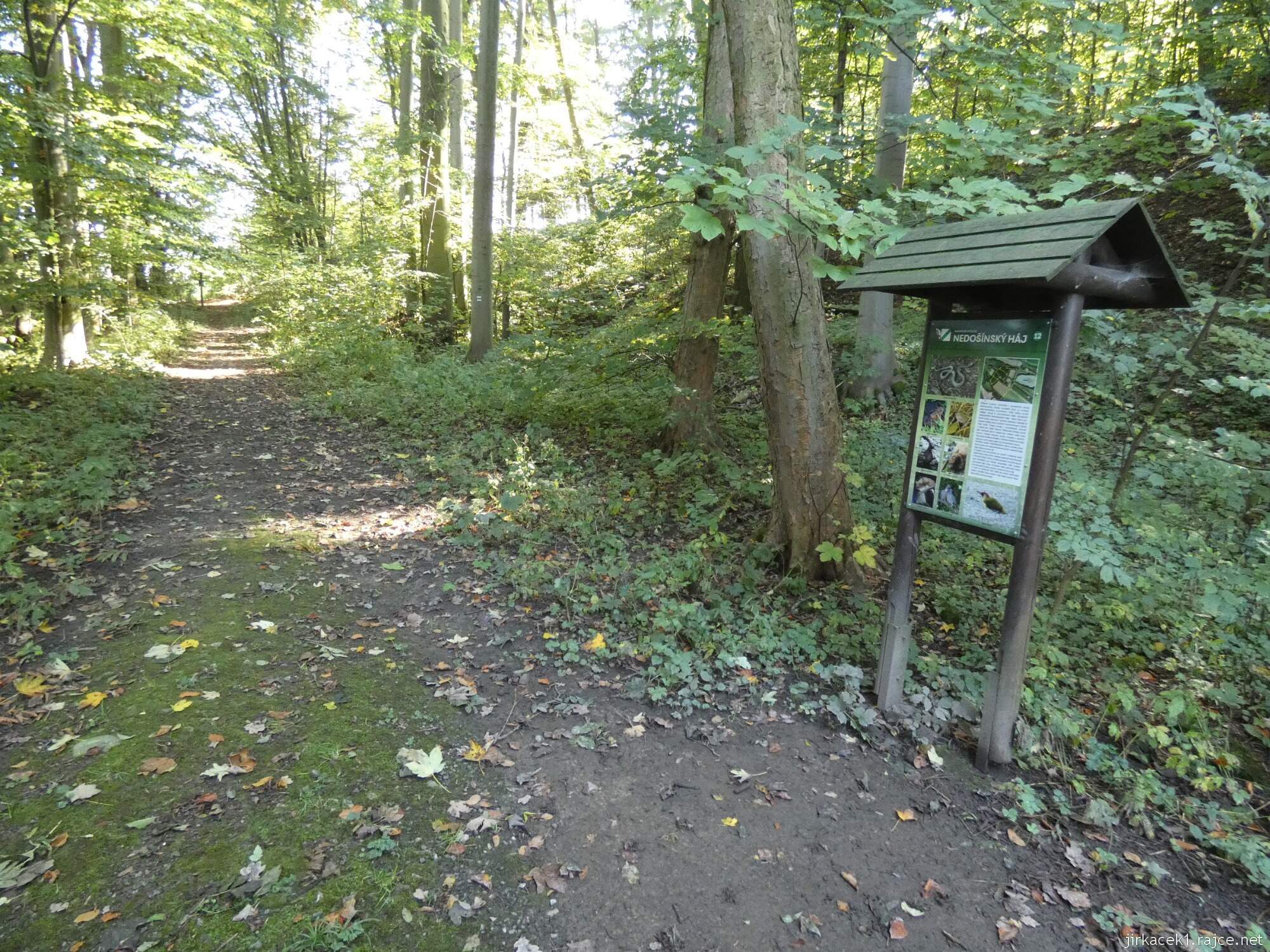 Nedošín - sklepní pramen v bývalých lázních 2021