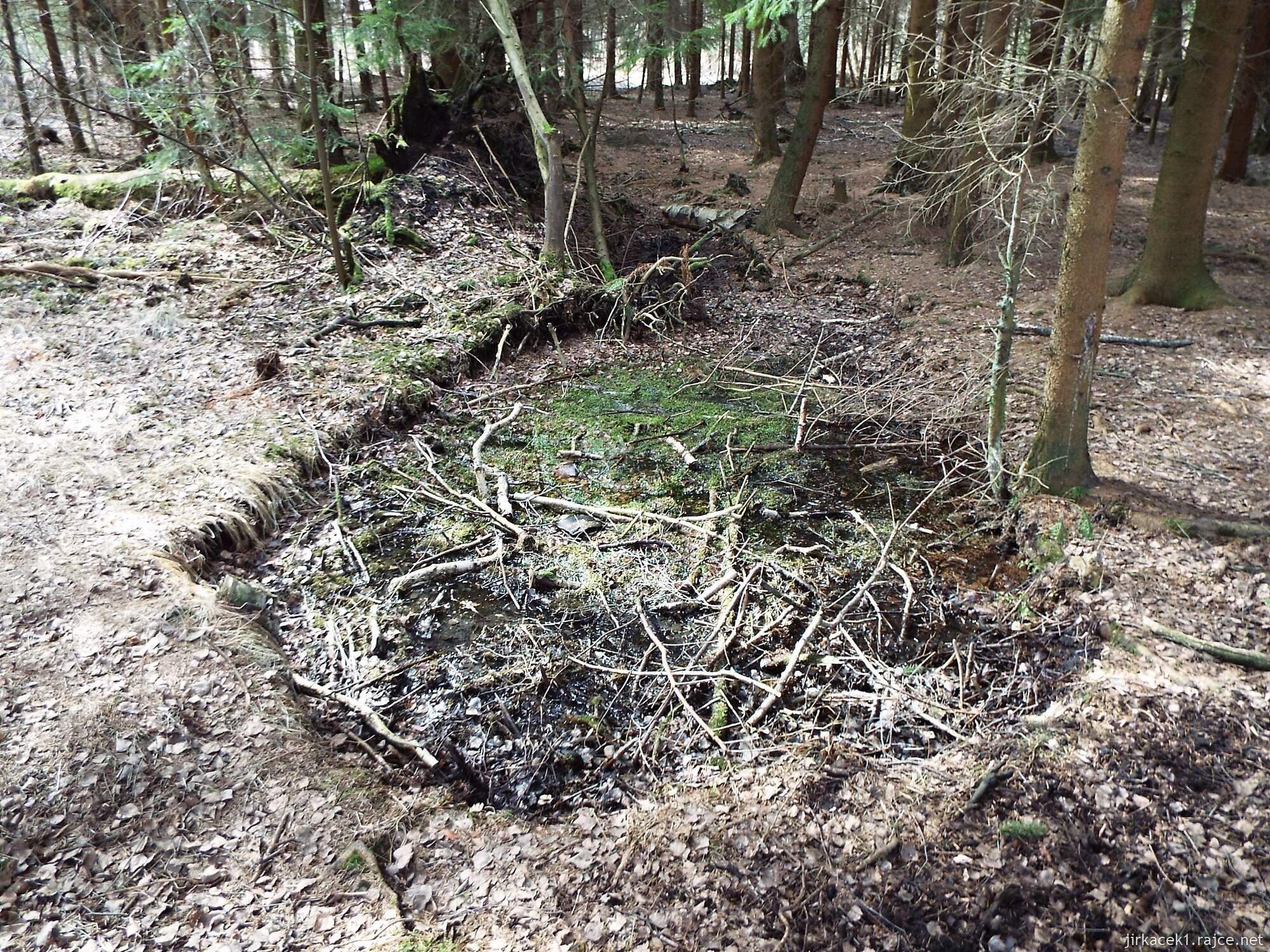 37 - Svitavy - NS Vodárenský les 16 - mokřady mezi 2.a 3. zastavením