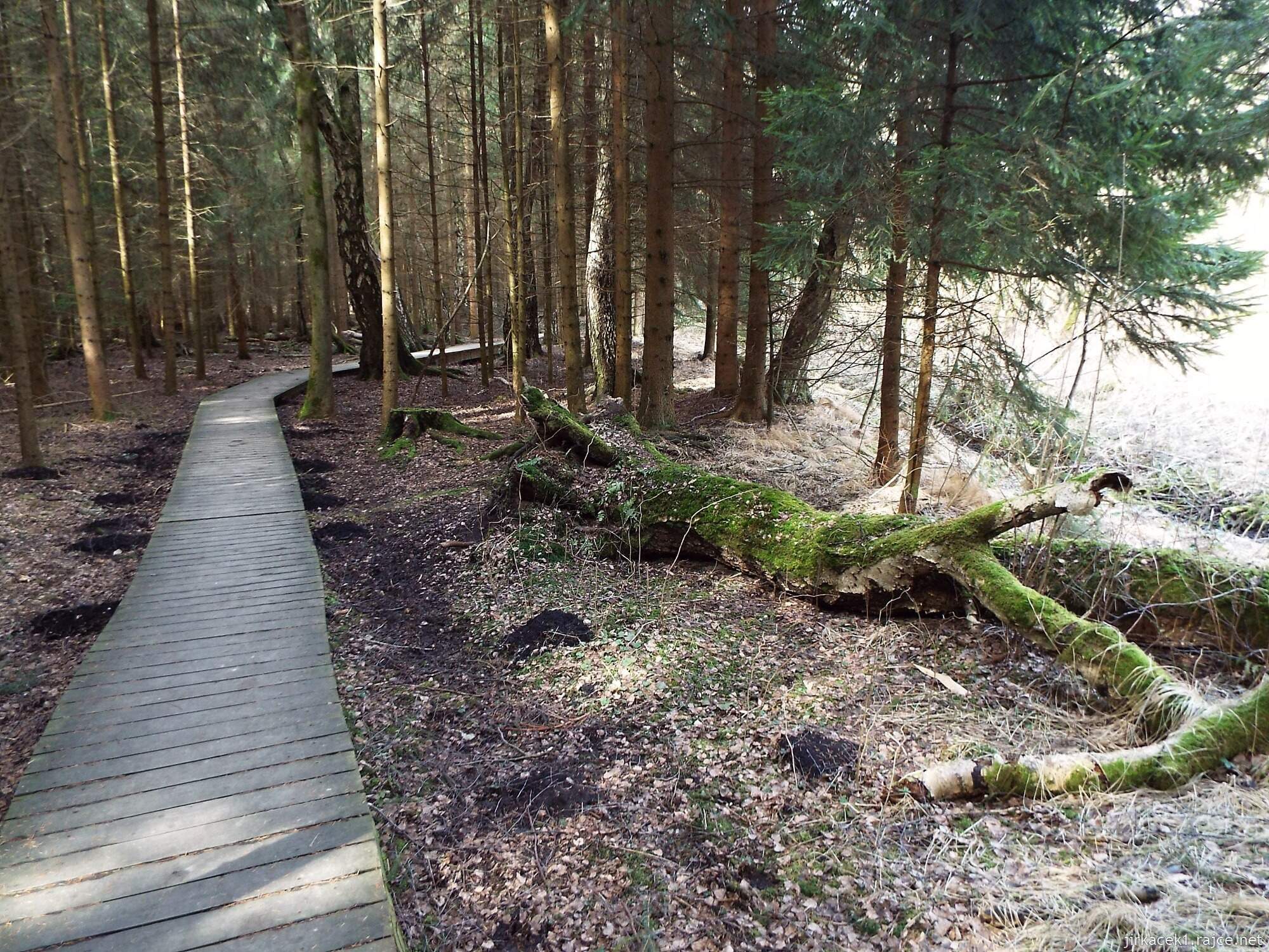 37 - Svitavy - NS Vodárenský les 25 - chodníček mezi 3.a 4. zastavením