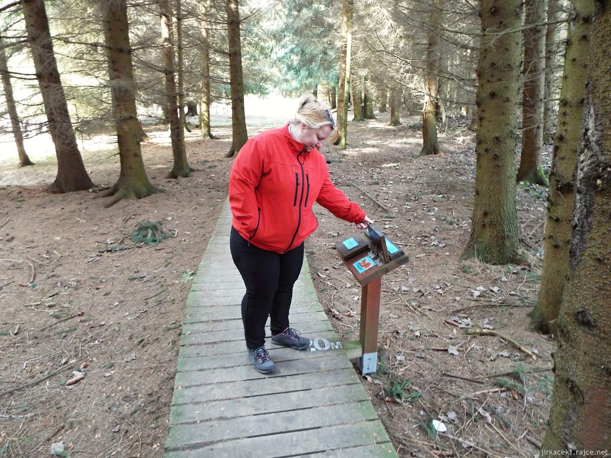 37 - Svitavy - NS Vodárenský les 31 - 4.zastavení - maminka poznává co žije na stromech