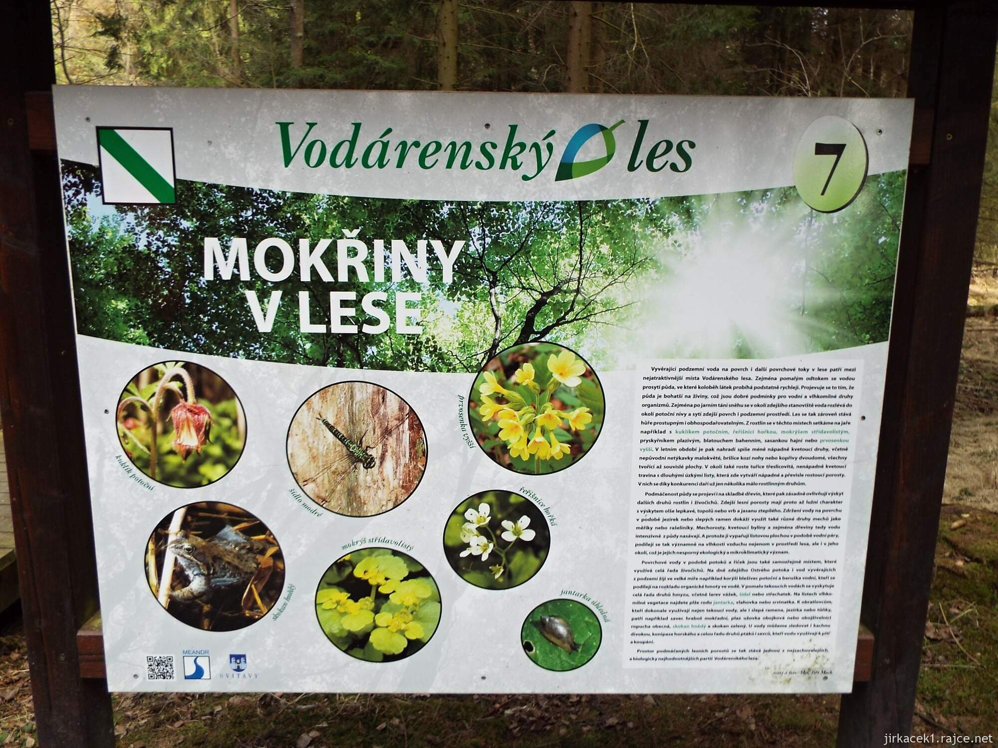 37 - Svitavy - NS Vodárenský les 80 - 7. zastavení