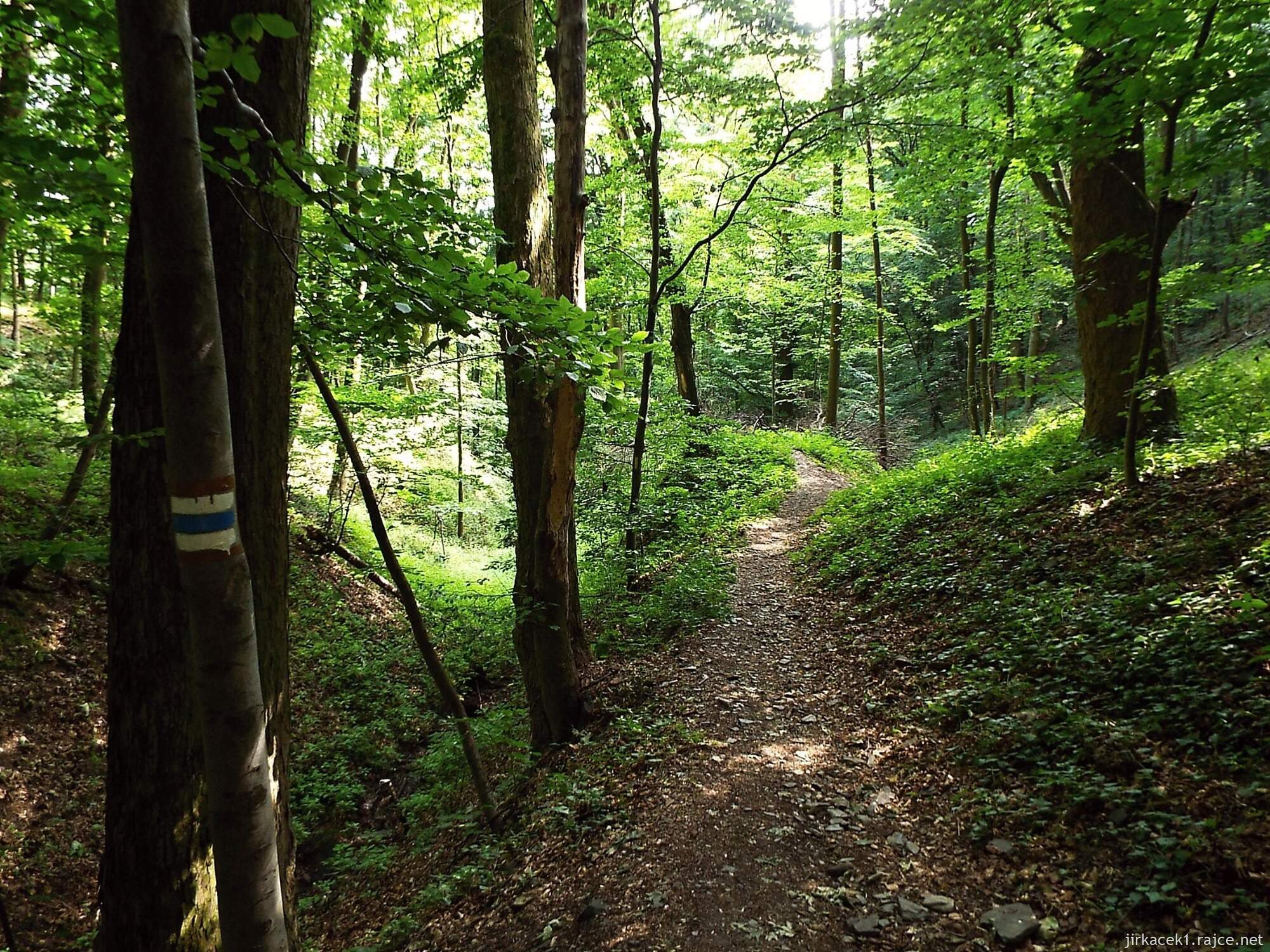 I - okolo Juřacky 37 - cesta z hradu dolů po modré do Podhoří