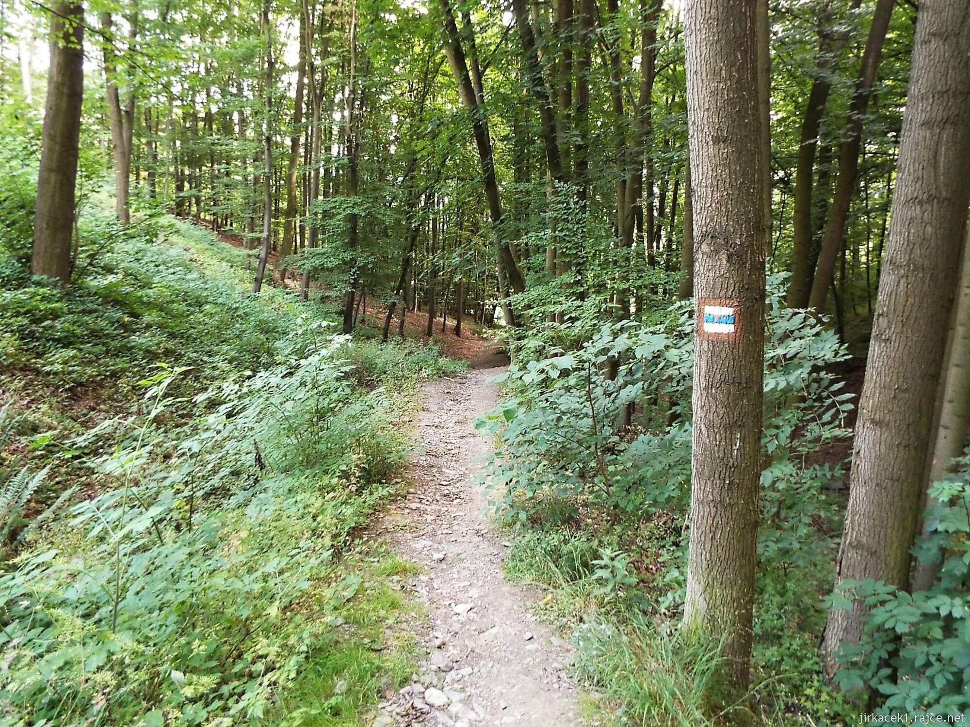 I - okolo Juřacky 43 - cesta z hradu dolů po modré do Podhoří