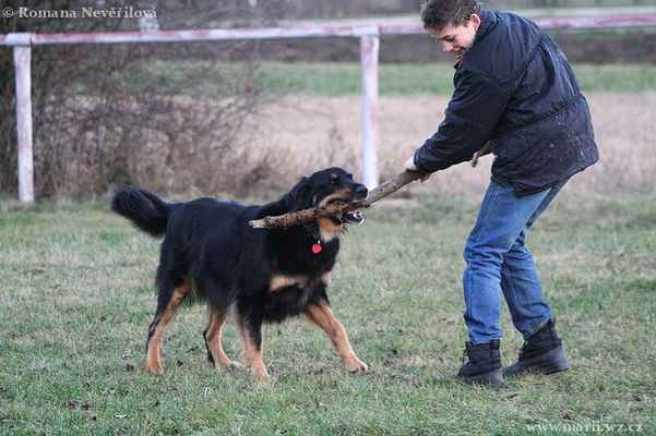 Martin+Nikola (5) - zkrocení černého psa