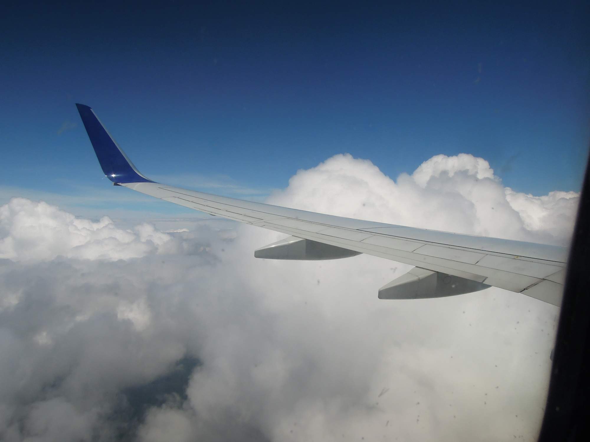 rajce.idnes.cz.mamaia 2014 - Bulharsko – daisynka – album na Rajčeti