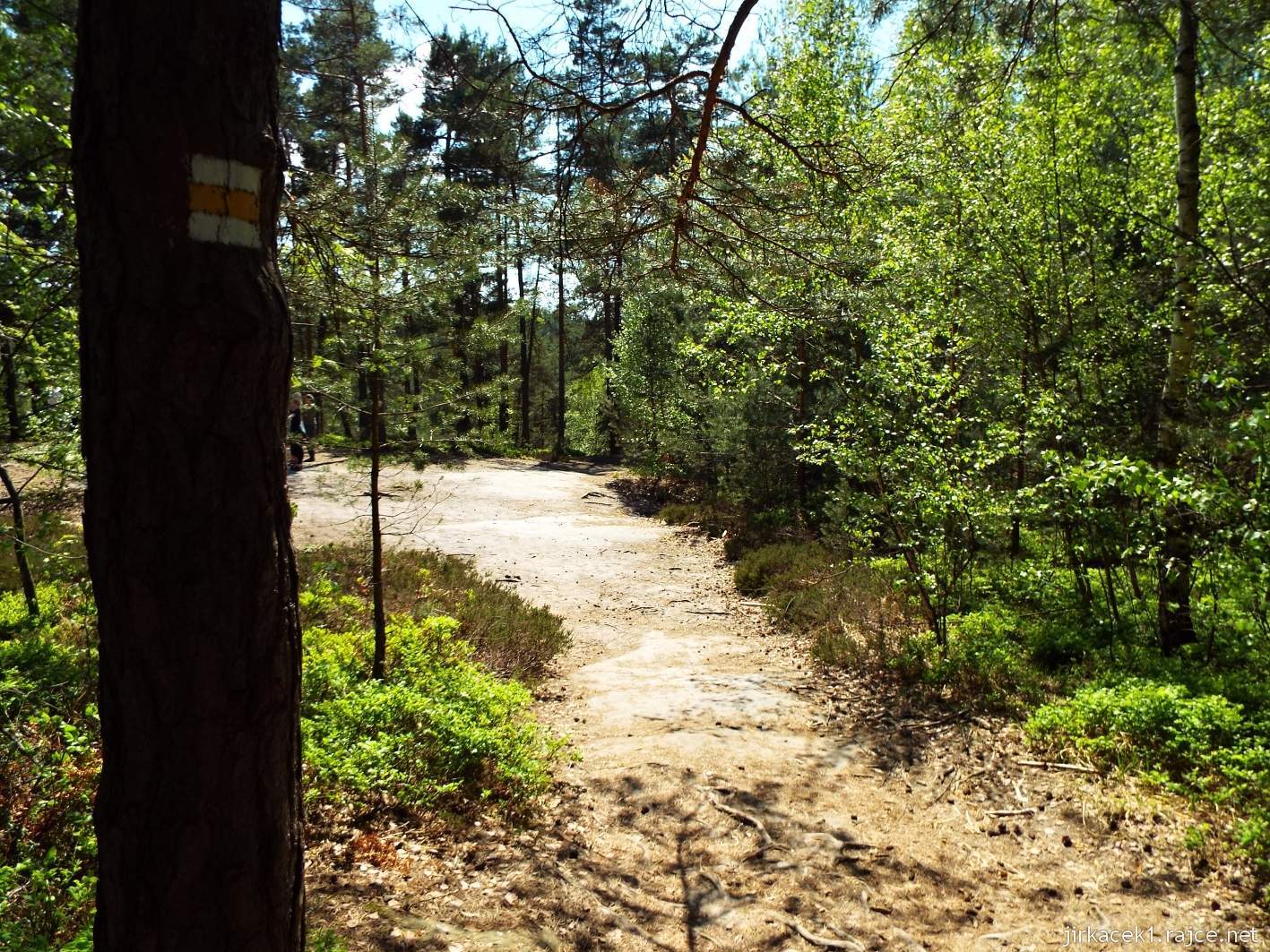 Klokočské průchody 30 - po žluté k jeskyni Postojná