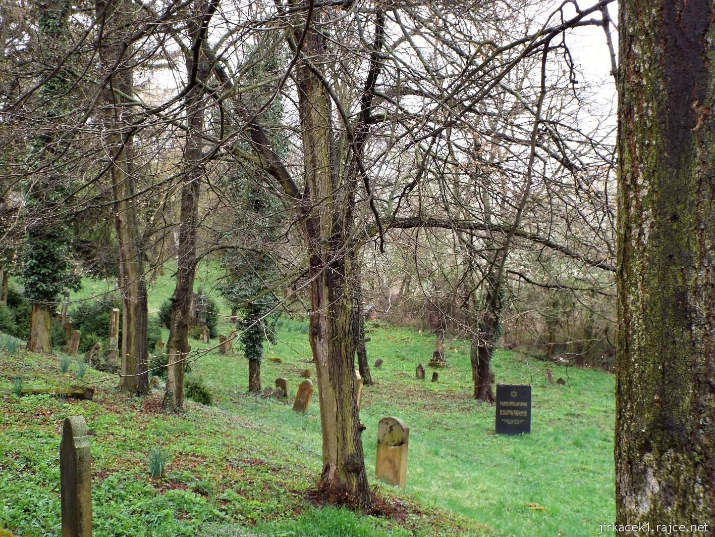Slavkov - židovský hřbitov
