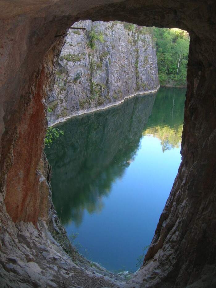 Obrázek