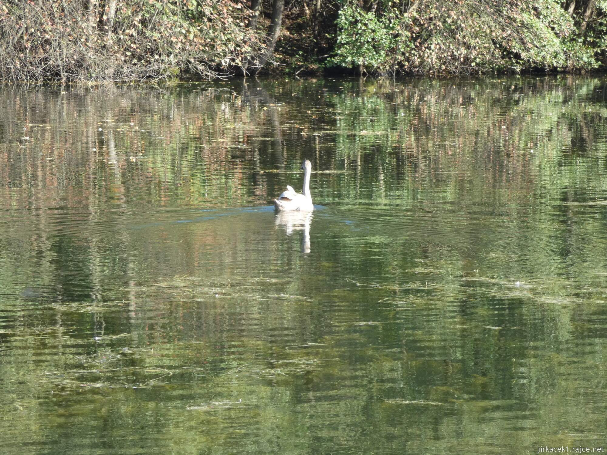 D - Tržek - Zamastilův mlýn 005