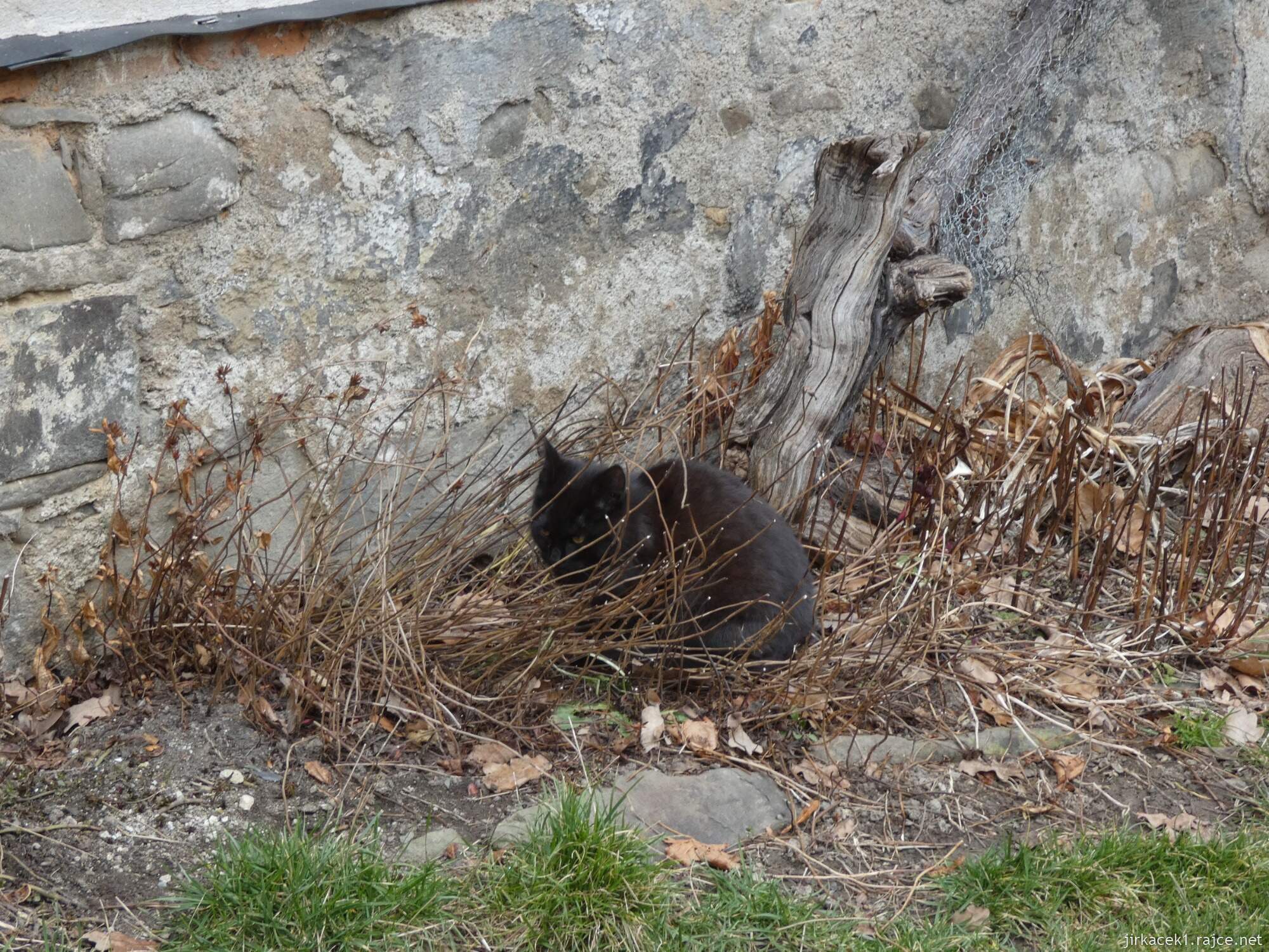 A - Loučky - vodní mlýn Wesselsky 012