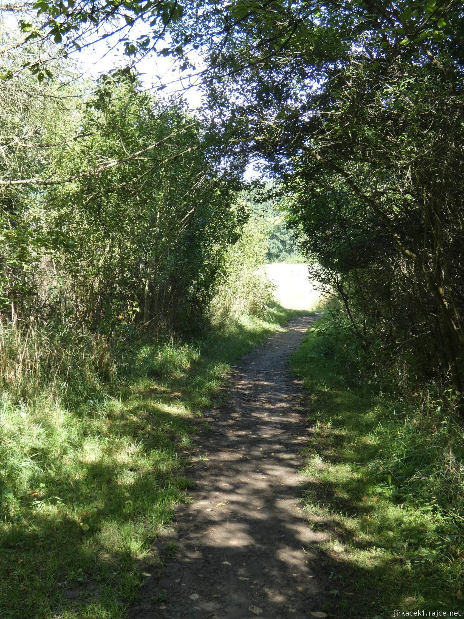 S - Kouřim - Naučná stezka Stará Kouřim 022