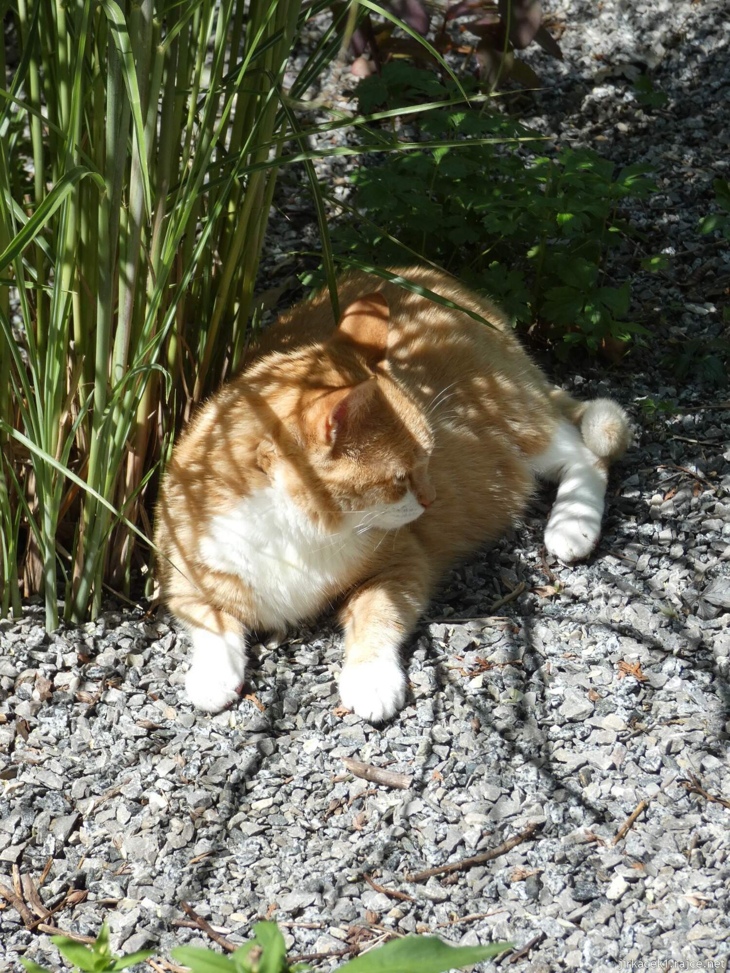 K - Kouřim - městský park Na hradbách 012