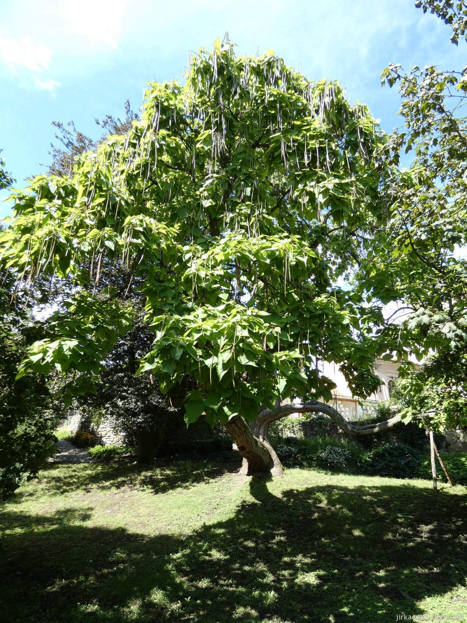 K - Kouřim - městský park Na hradbách 021