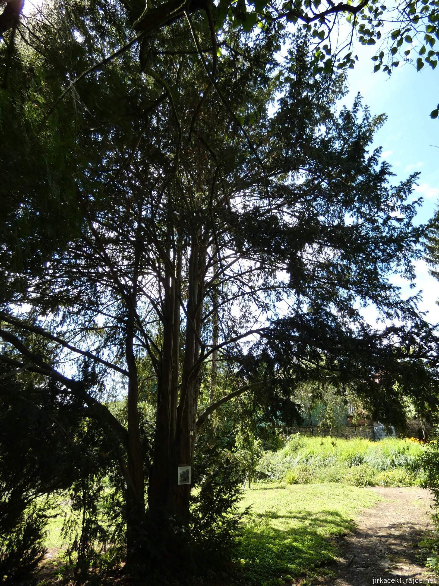 K - Kouřim - městský park Na hradbách 026