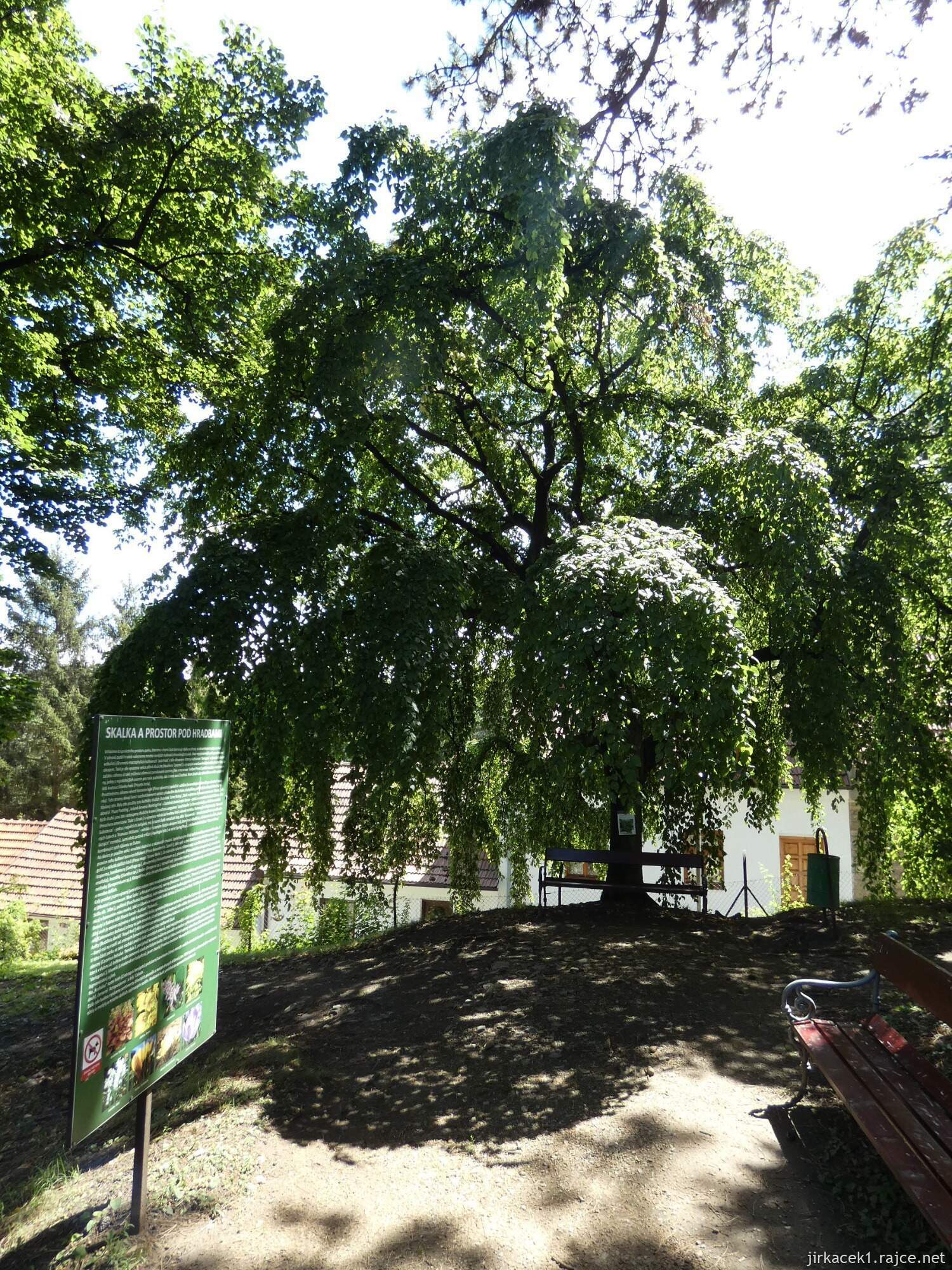K - Kouřim - městský park Na hradbách 043