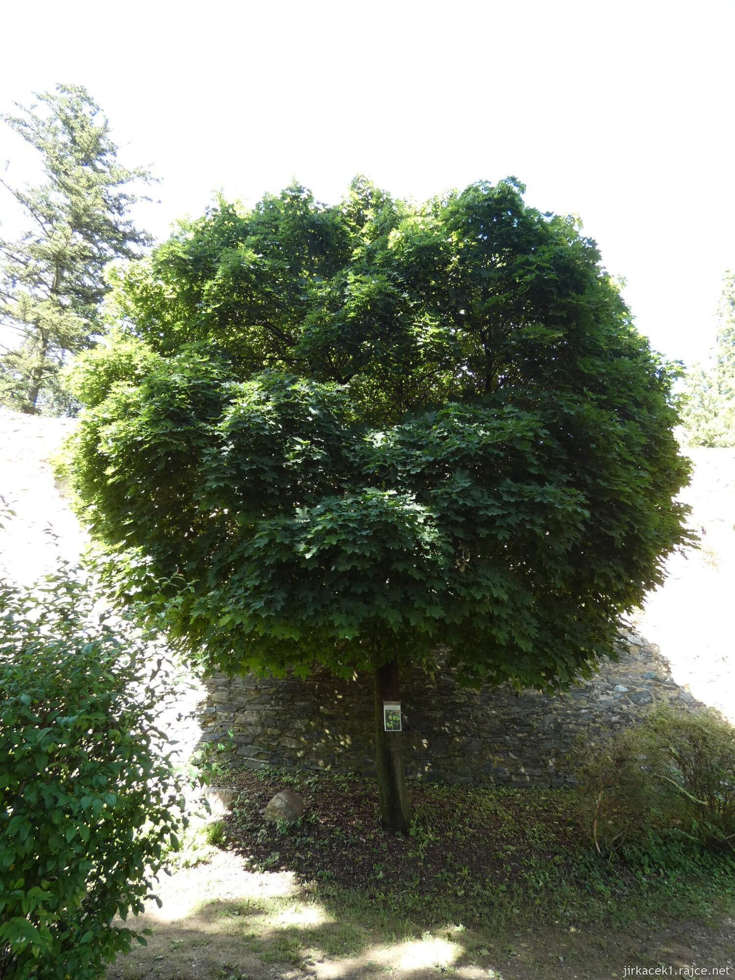 K - Kouřim - městský park Na hradbách 060