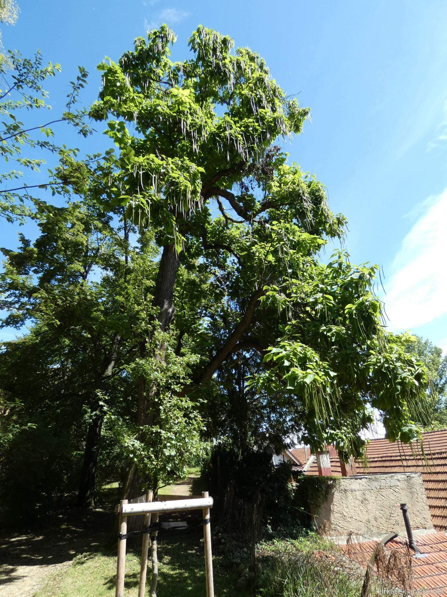 K - Kouřim - městský park Na hradbách 068