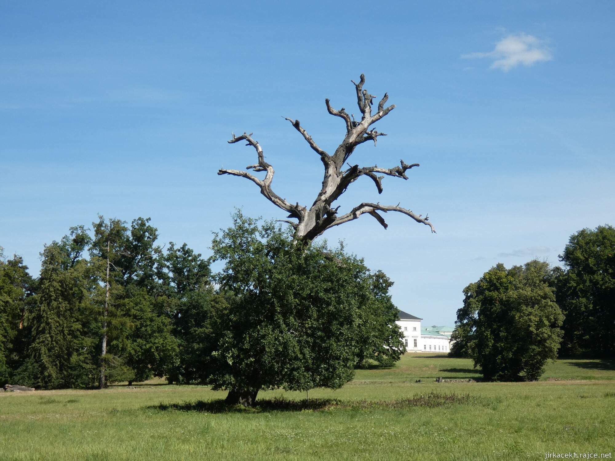 Ž3 - Kačina - zámecký park 034